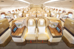 EA-777-RETROFIT-BUSINESS-CLASS-CABIN-FRONT-ANGLE-copy.jpg
